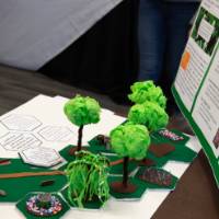 A display of trees accompanies a poster presentation